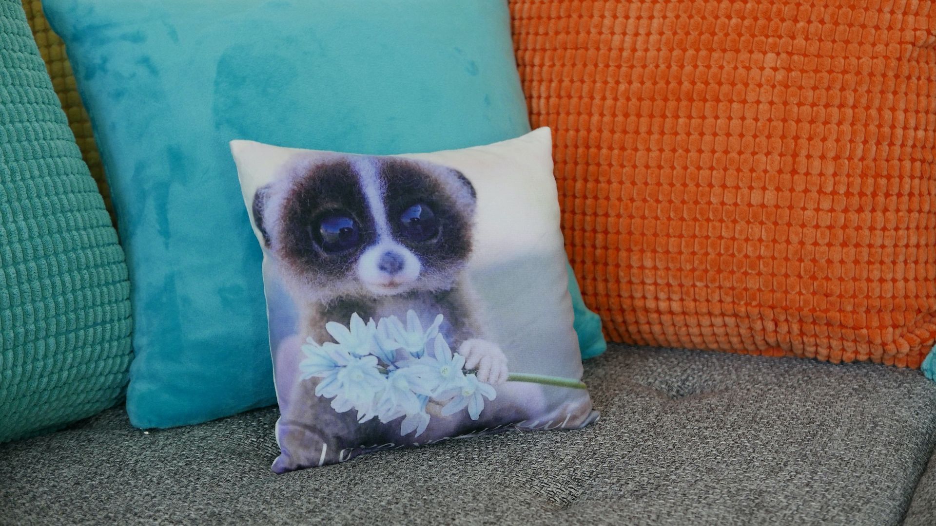 Wohn-/Schlafzimmer . Top 24